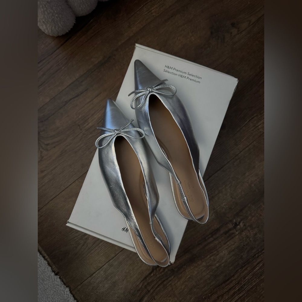 H&M Premium Selection Pointed Toe Flats